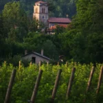 new serbian wine region