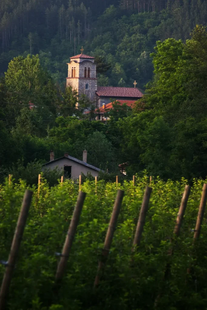 brus new serbian wine region