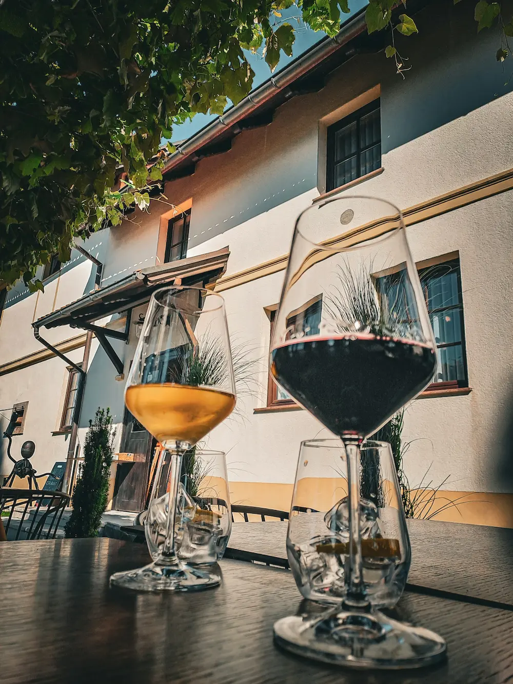 Czech Wine Magic: Regions Most Travellers Still Haven’t Found