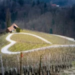 slovenian wine view