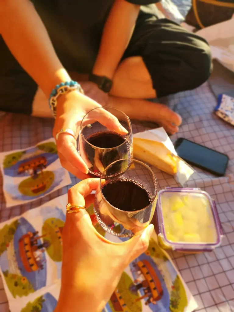 picnic vibe with slovak wine